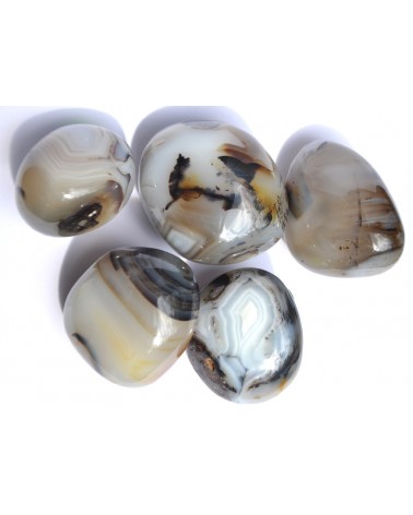 Agate dendritique l'Âge de pierre Vevey