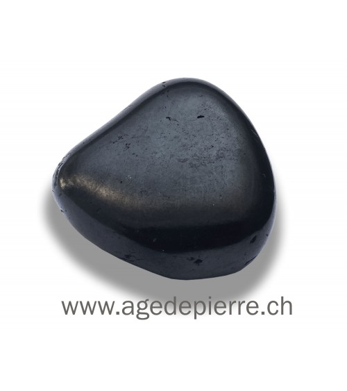 Shungite petit  galet l'Âge de pierre Vevey