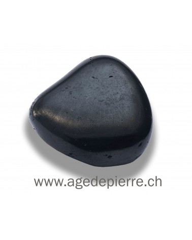 Shungite petit  galet l'Âge de pierre Vevey