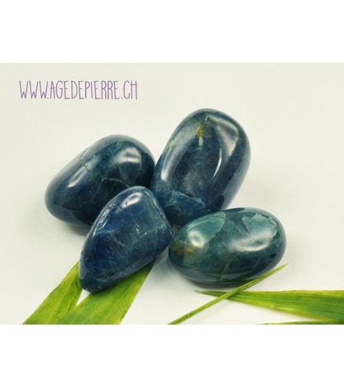 Apatite bleue galet rond