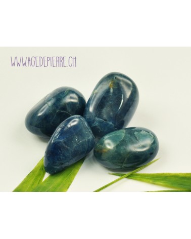 Apatite bleue galet rond