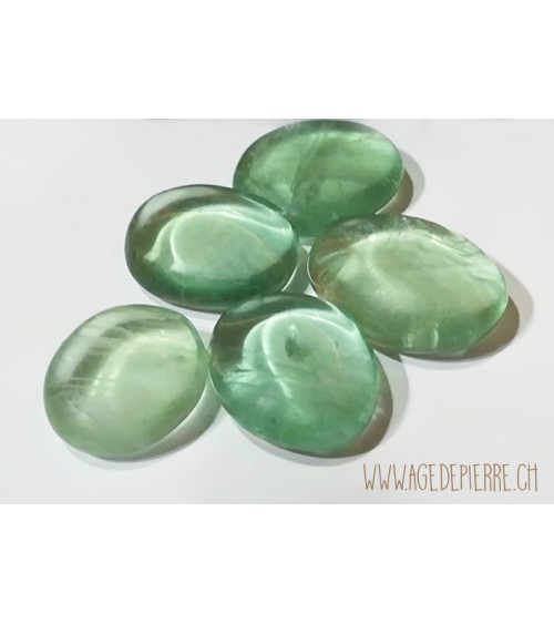 Fluorine verte galet plat moyen