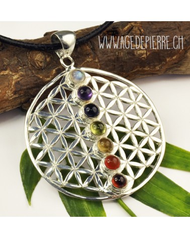 Pendentif 7 chakras