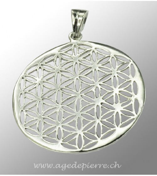 Pendentif fleur de vie en argent l'Âge de pierre Vevey