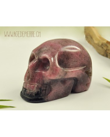 Crâne en rhodonite l'Âge de pierre Vevey