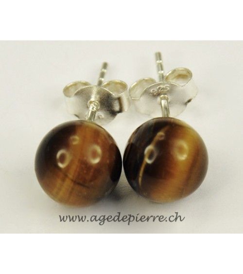 Oeil de tigre boucles d'oreille clous