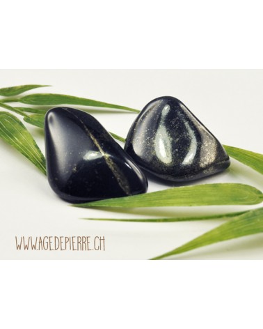 Jade noir magnétite galet