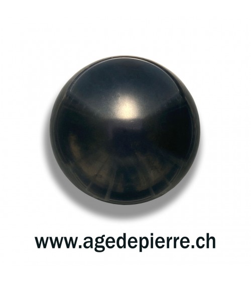 Shungite sphère l'âge de pierre vevey