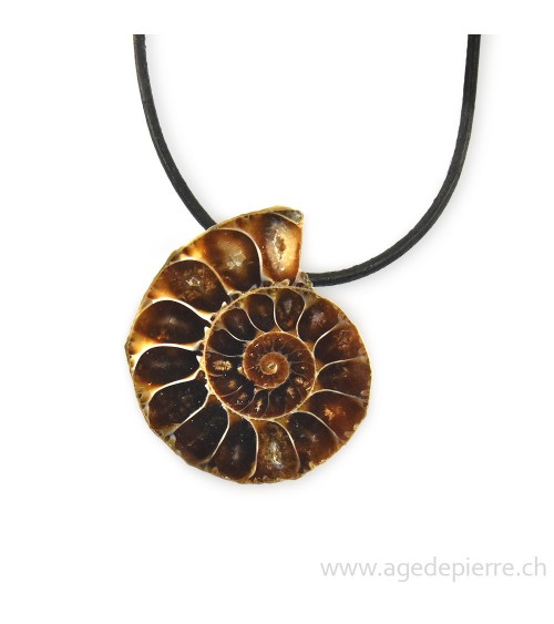 Ammonite percée montée en collier
