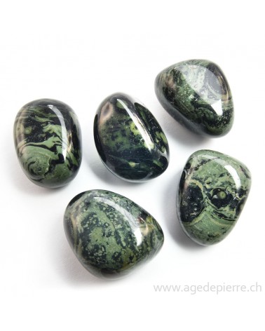Galet de jaspe kambamba (eldarite)