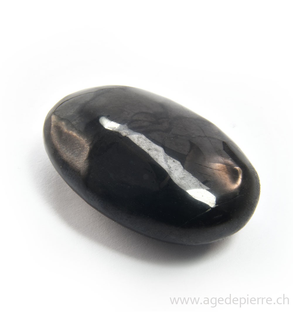 Shungite petit  galet l'Âge de pierre Vevey