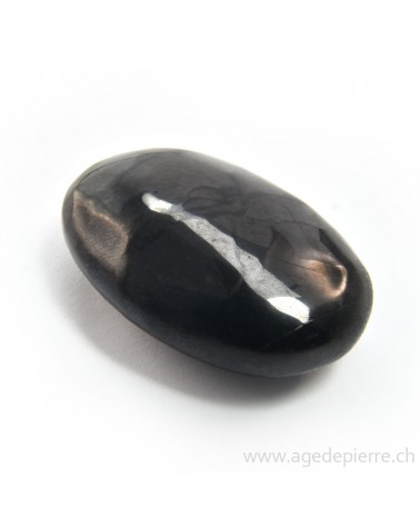 Shungite petit  galet l'Âge de pierre Vevey