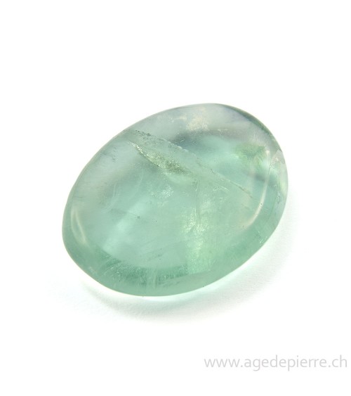 Fluorine verte en mini galet plat