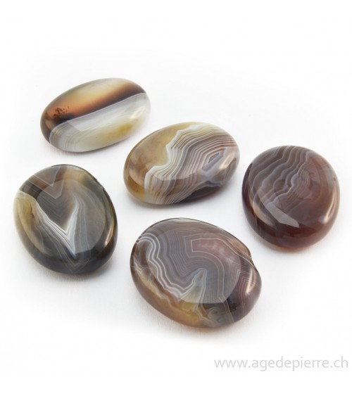 Agate l'Âge de pierre Vevey