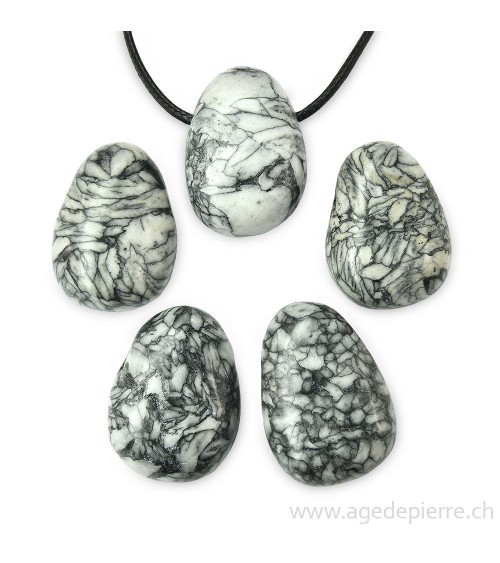 Pinolite