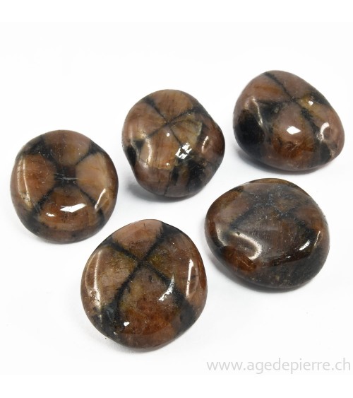 Chiastolite galet rond