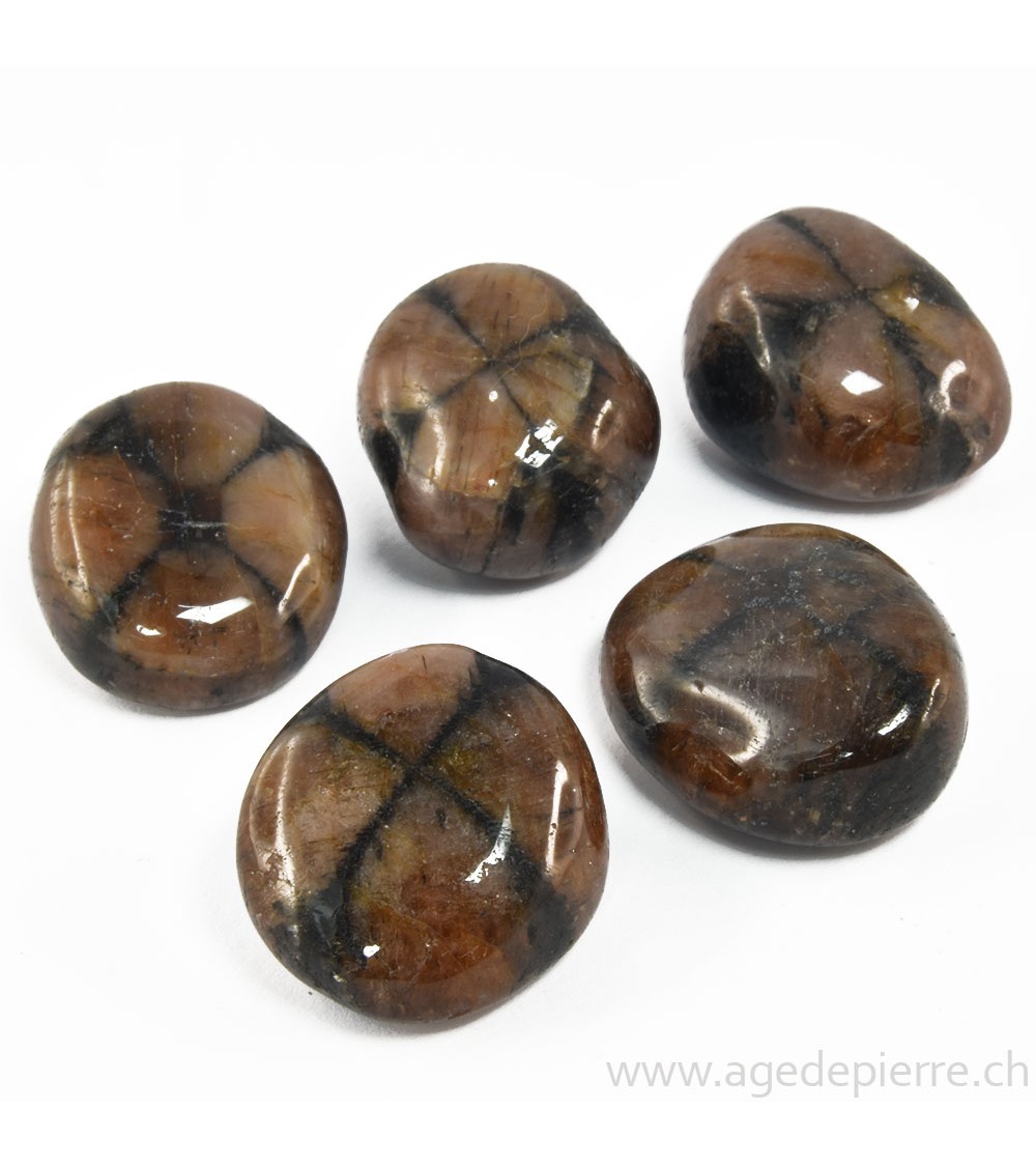 Chiastolite galet rond