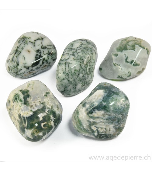 agate arborisée galet l'Âge de pierre Vevey