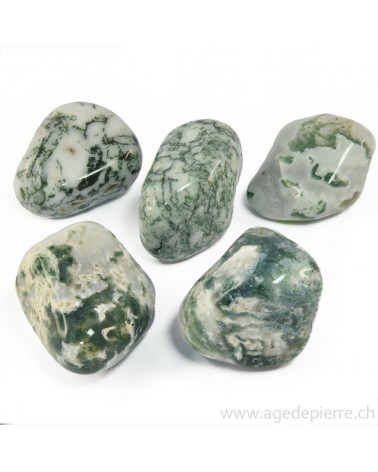 agate arborisée galet l'Âge de pierre Vevey