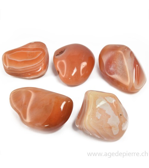 agate abricot l'Âge de pierre Vevey