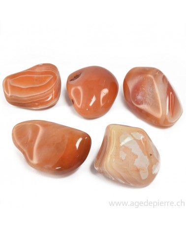 agate abricot l'Âge de pierre Vevey