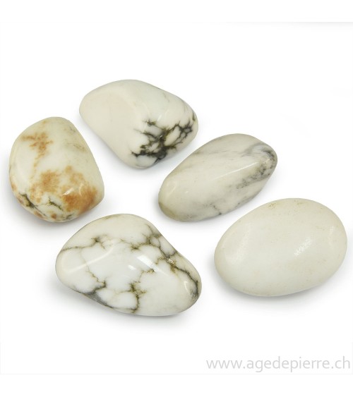 Howlite pierre roulée