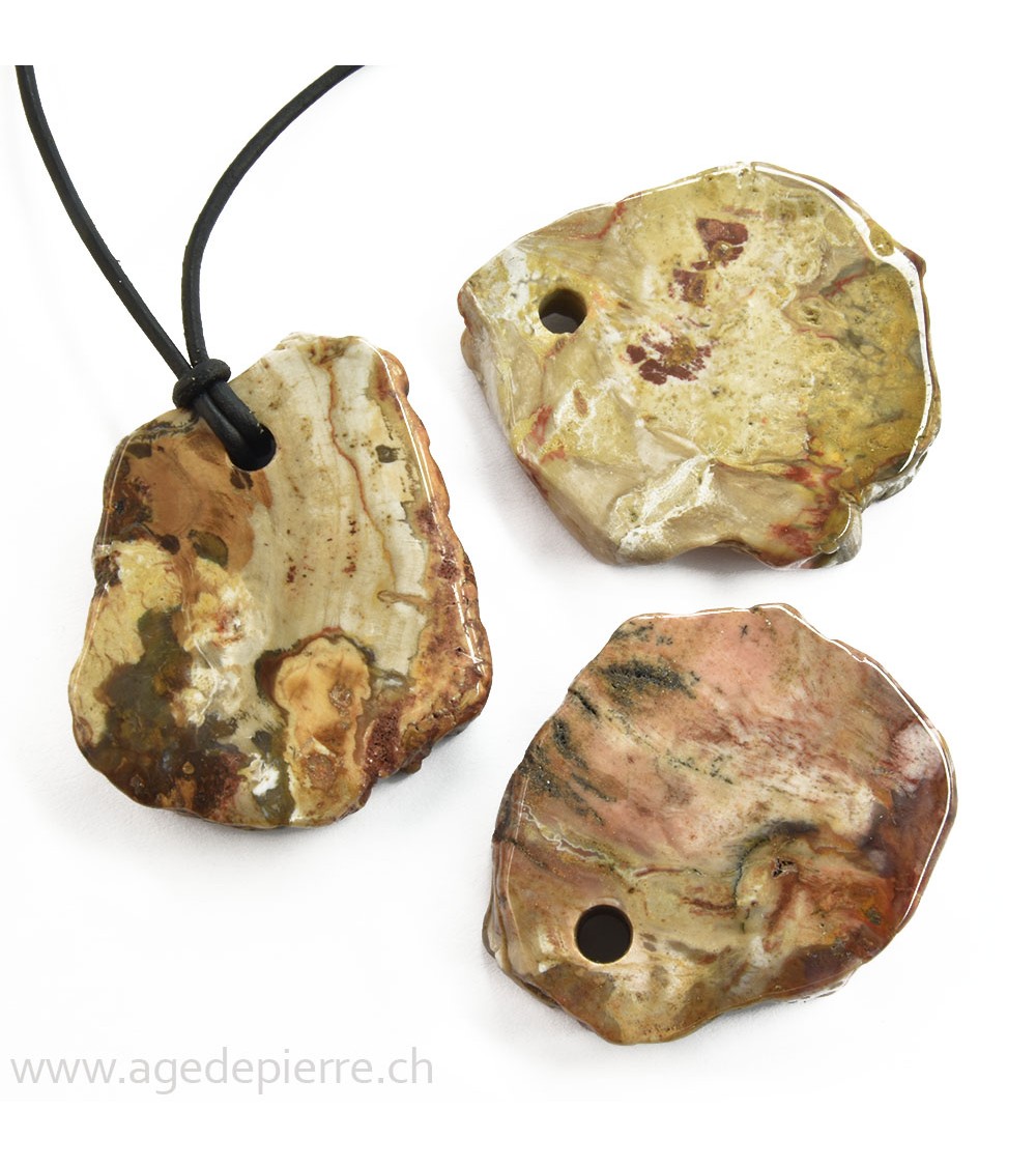 Bois fossile pendentif pierre percée