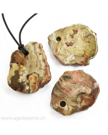 Bois fossile pendentif pierre percée