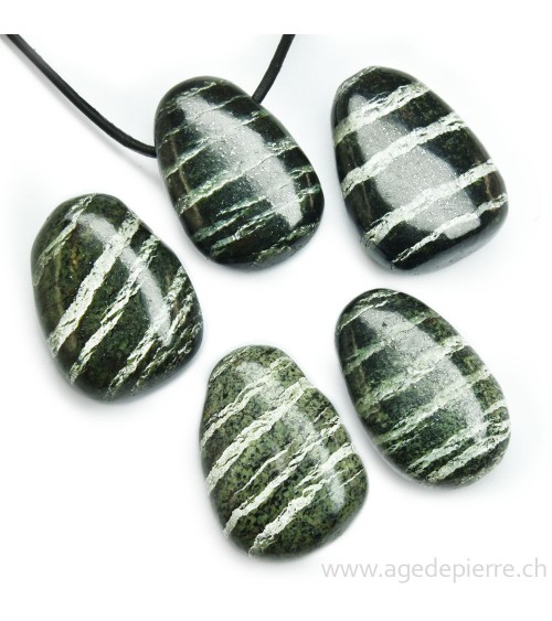 Serpentine argentée pendentif l'âge de pierre Vevey
