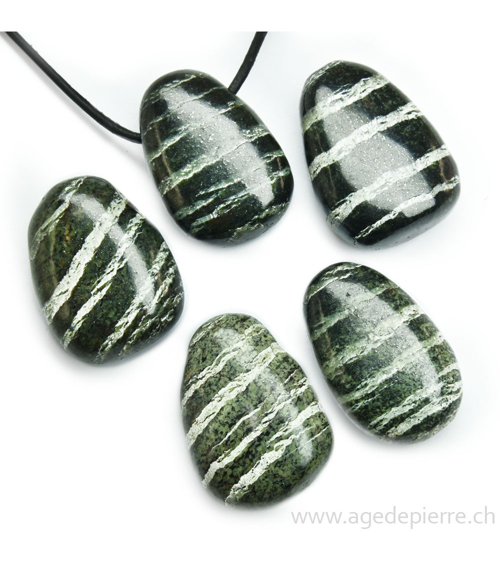 Serpentine argentée pendentif l'âge de pierre Vevey