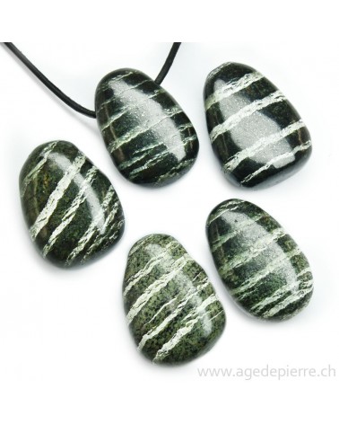 Serpentine argentée pendentif l'âge de pierre Vevey