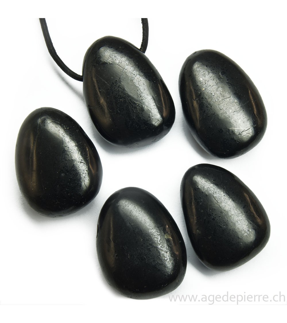 Shungite pendentif pierre percée l'Âge de pierre