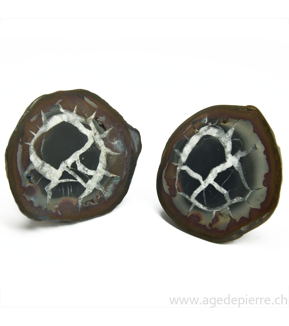 Septaria paire de géodes l'Âge de pierre