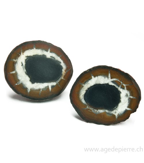 Septaria paire de géodes l'Âge de pierre
