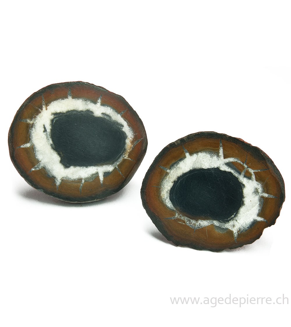 Septaria paire de géodes l'Âge de pierre