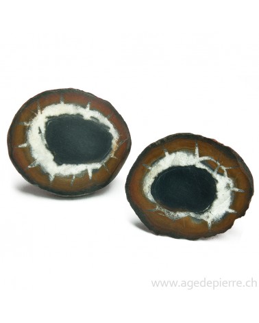 Septaria paire de géodes l'Âge de pierre