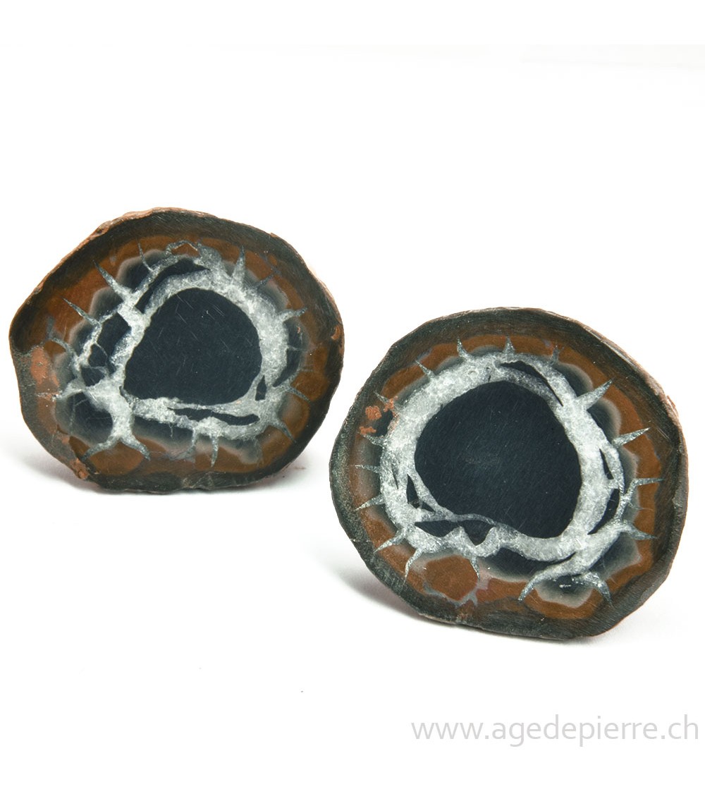 Septaria paire de géodes l'Âge de pierre