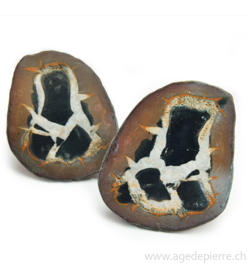 Septaria paire de géodes l'Âge de pierre