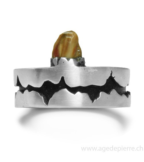 Bague en argent avec dent en bois fossilisé