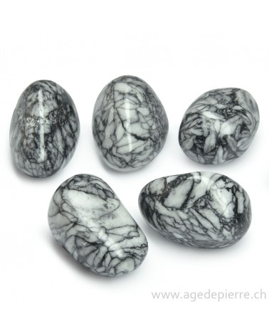 Pinolite