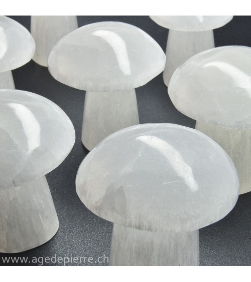 Sélénite champignons l'Âge de pierre Vevey