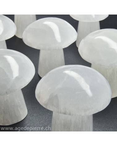 Sélénite champignons l'Âge de pierre Vevey