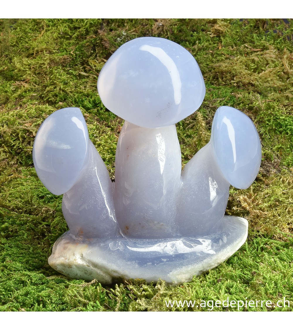 Calcédoine champignon sculpture