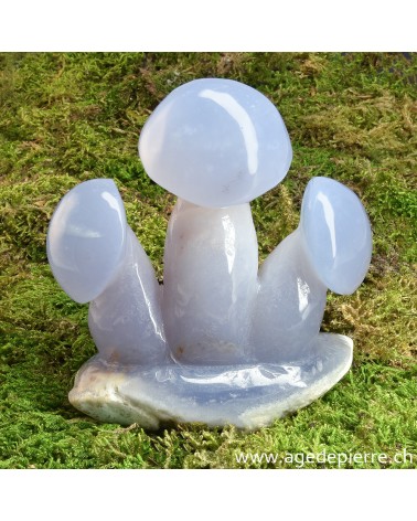 Calcédoine champignon sculpture