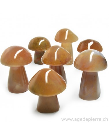 Calcédoine champignon