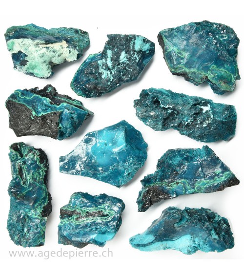 Chrysocolle brute