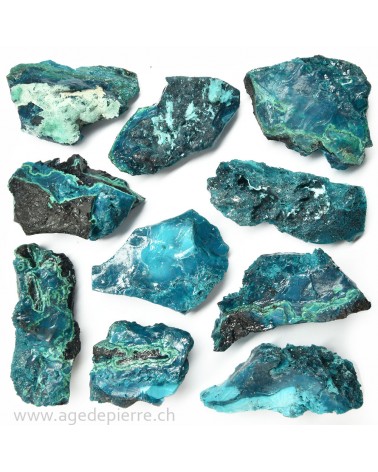 Chrysocolle brute
