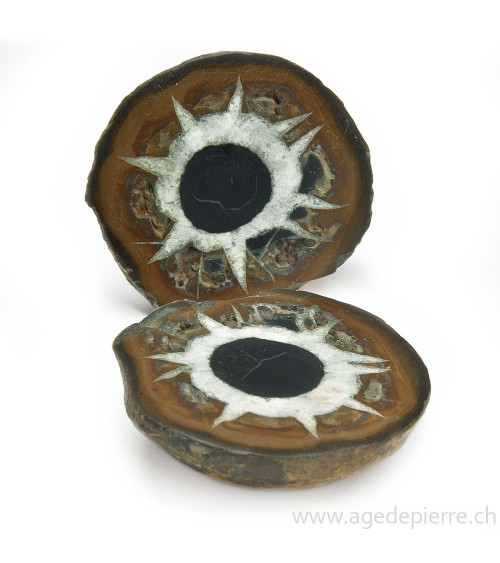 Septaria paire de géodes l'Âge de pierre