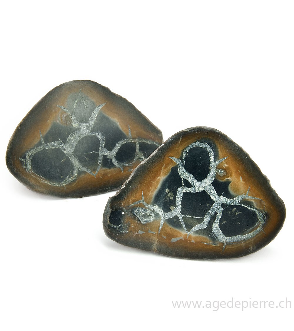 Septaria paire de géodes l'Âge de pierre