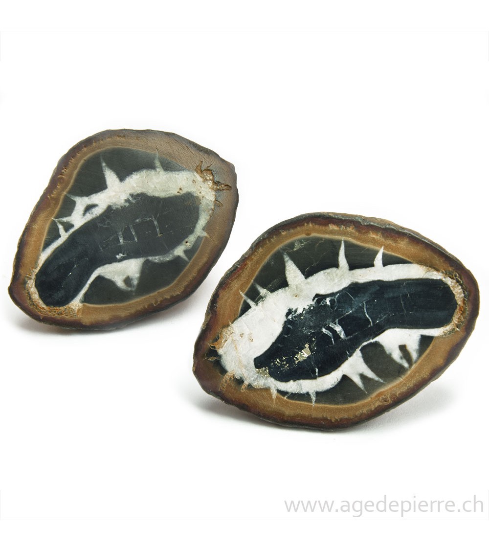Septaria paire de géodes l'Âge de pierre
